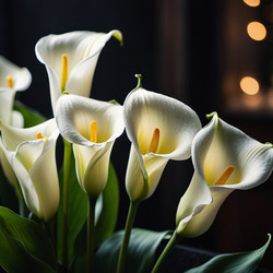 Similar image 22163492