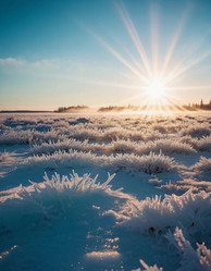 Similar image 22163530