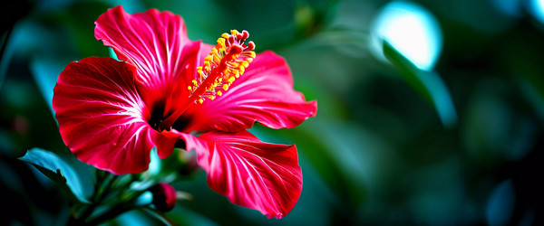 Similar image 22161916