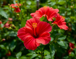 Similar image 22161917