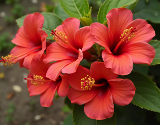 Similar image 22162548