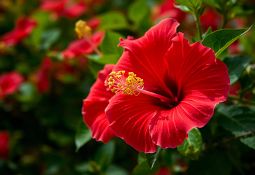 Similar image 22163537