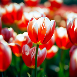 Similar image 22163078