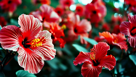 Similar image 22162348