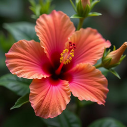 Similar image 22163080