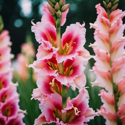 Similar image 22163550