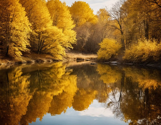 Similar image 22163089