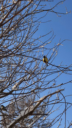 Similar image 22135549