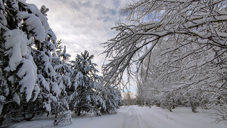 Similar image 22135551