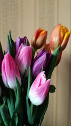 Similar image 22135553