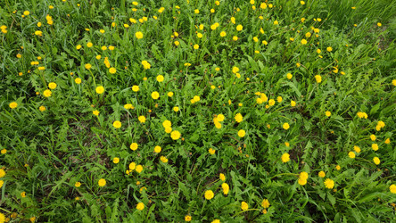 Similar image 22135555