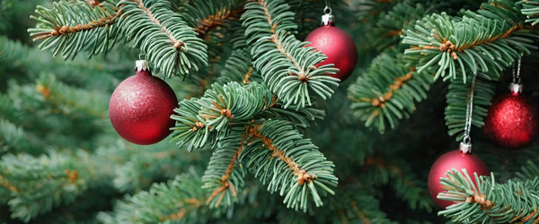 Similar image 22162573