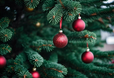 Similar image 22163103