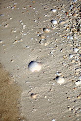 Similar image 22157801