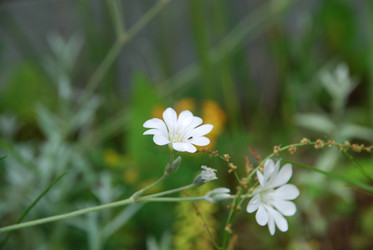 Similar image 22139977