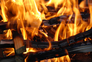 Similar image 22139978