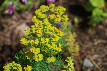 Similar image 22139981