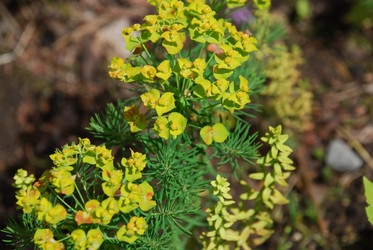 Similar image 22139983