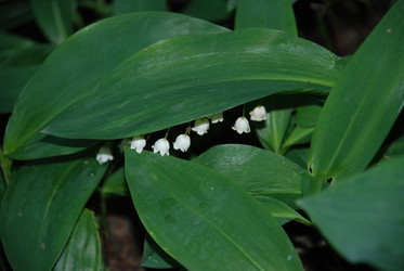 Similar image 22139985