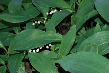 Similar image 22139987