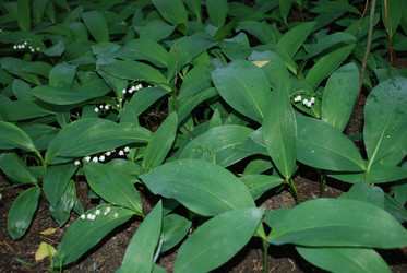 Similar image 22139989