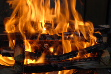 Similar image 22139990