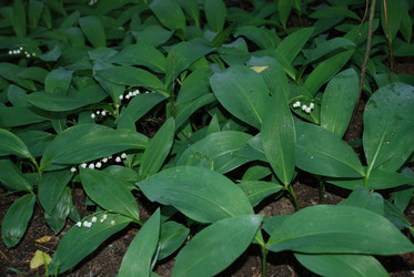 Similar image 22139991