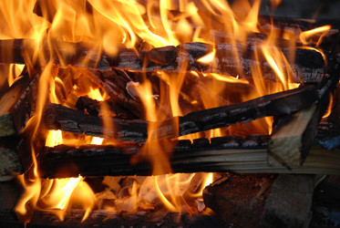 Similar image 22139992