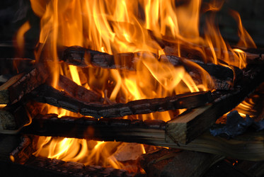 Similar image 22139995