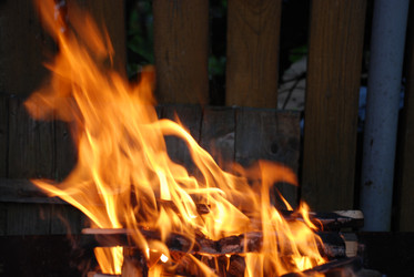 Similar image 22140000