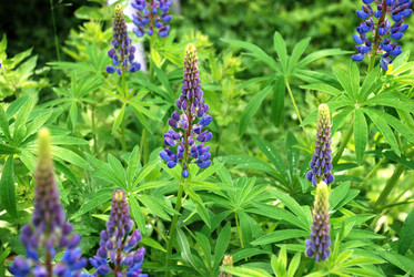 Similar image 22140003