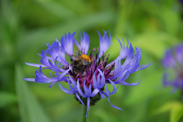 Similar image 22140005