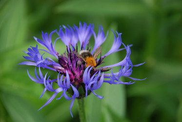 Similar image 22140006