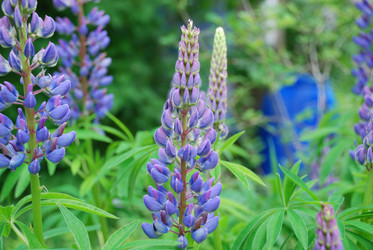 Similar image 22140009