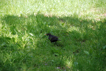 Similar image 22140010