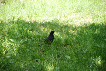 Similar image 22140011