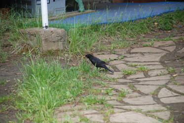 Similar image 22140012