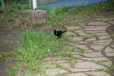 Similar image 22140013