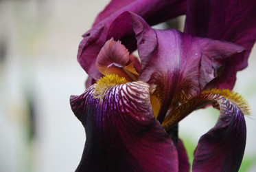 Similar image 22140014