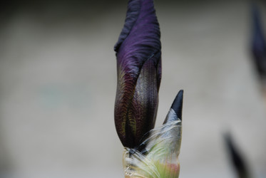 Similar image 22140015