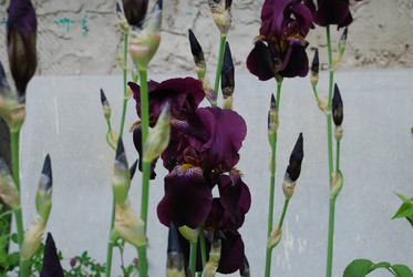 Similar image 22140016