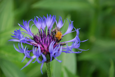 Similar image 22140017