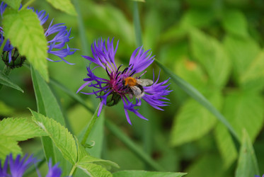 Similar image 22140018