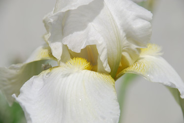 Similar image 22140019