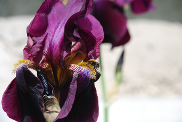 Similar image 22140020