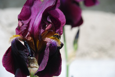 Similar image 22140021