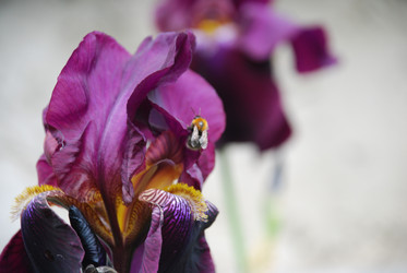 Similar image 22140022