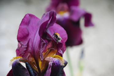 Similar image 22140023