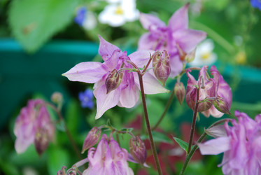 Similar image 22140024