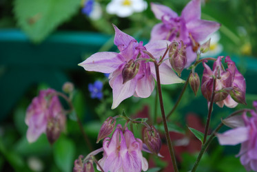 Similar image 22140025